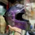 Vega BOLT Dual Tone DOT Certified Full Face Helmet - Image 4
