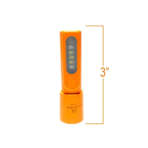 torch-pl-003